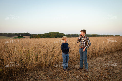 Farm Family at Soybean Harvest 268094