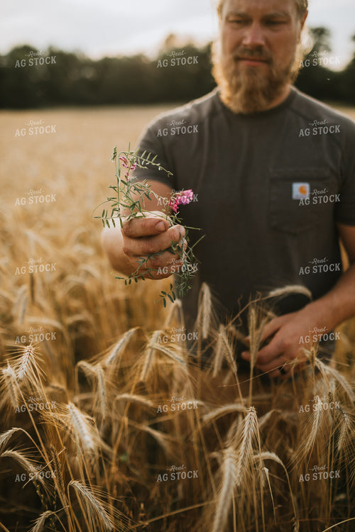Farmer in Rye Field 5978