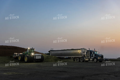 Storing Corn Silage 152528