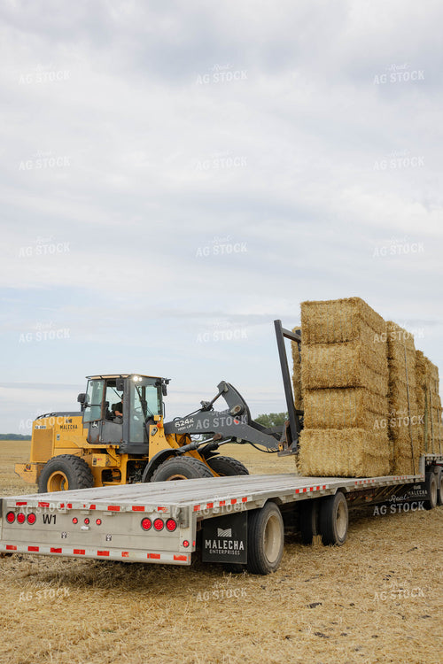 Loading Wheat Straw Bales 296077