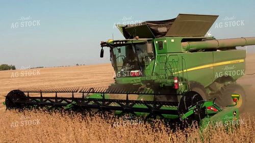 Soybean Harvest 287029