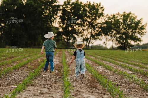 Farm Kids in Cornfield 115303