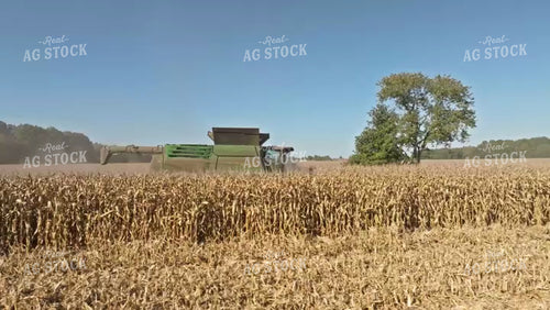 Corn Harvest 92091