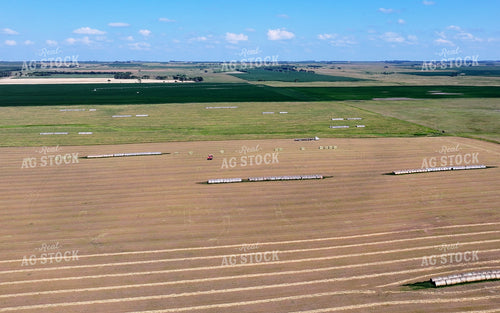Picking Up Bales 141639