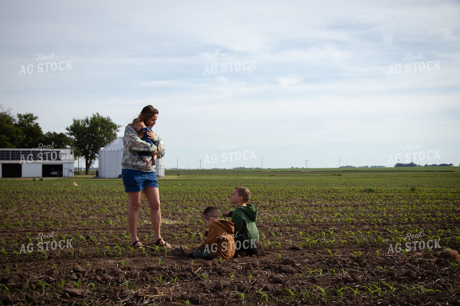 Farm Family Checking Early Growth Corn 268289