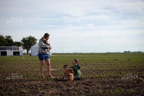 Farm Family Checking Early Growth Corn 268289