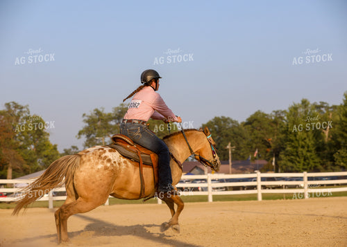 Equestrian Riding Horse 160071