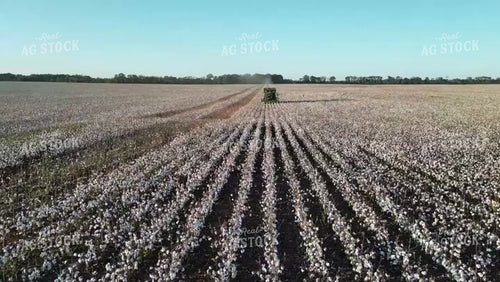 Aerial of Cotton Harvest 149062