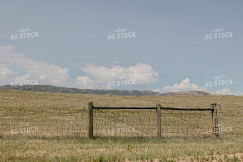 Scenic Pasture 104106