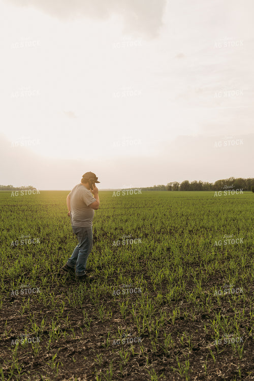 Farmer Scouting Sugar Beets 204012