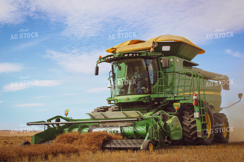 Wheat Harvest 187004