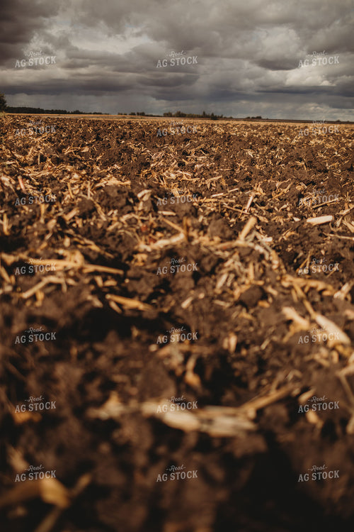 Freshly Plowed Dirt Under Cloudy Rainy Sky 3365