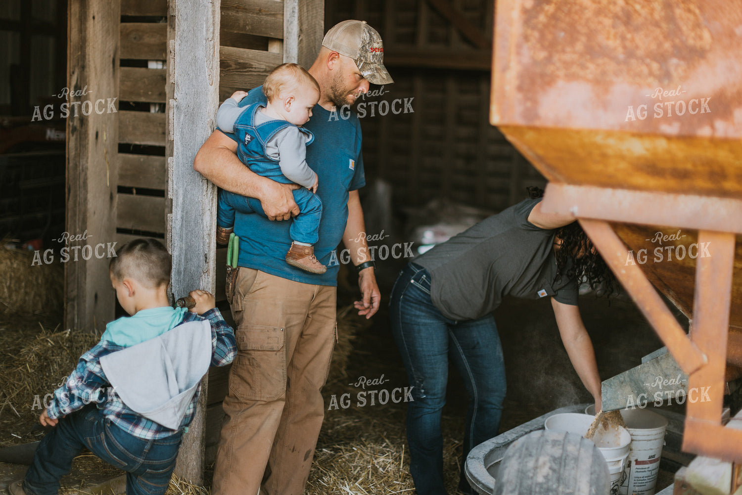 Farm Family in Barn 7397
