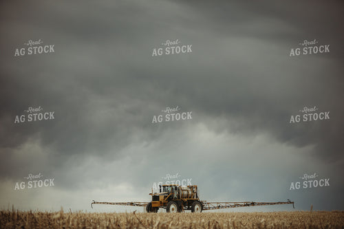 Self Propelled Sprayer Spraying in Corn Field 3664