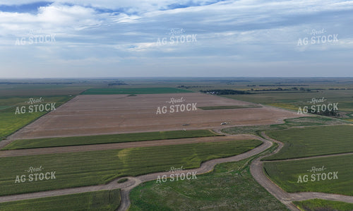 Aerial of Corn Silage Harvest 141386