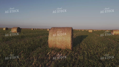 Round Bales in Field 239408