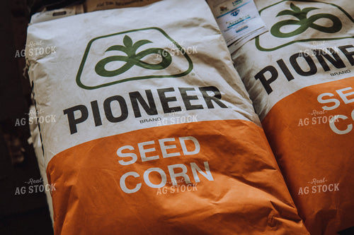 Pioneer Seed Corn 67212