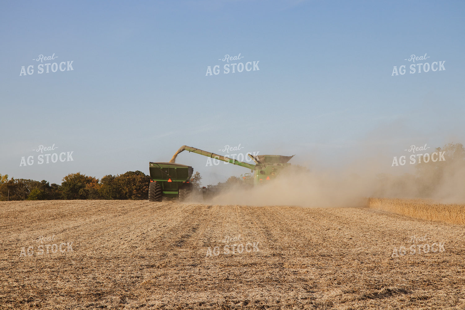 Soybean Harvest 67271