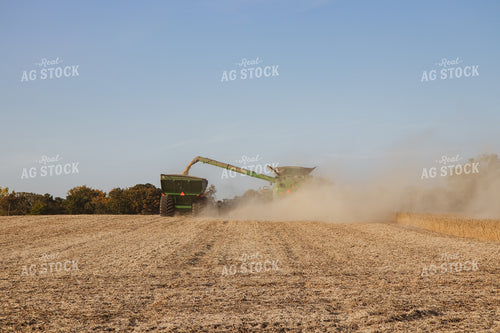 Soybean Harvest 67271