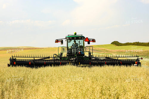 Swathing Hay 187098