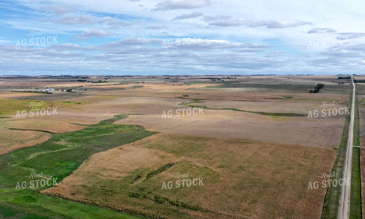 Aerial of Farmland 141801