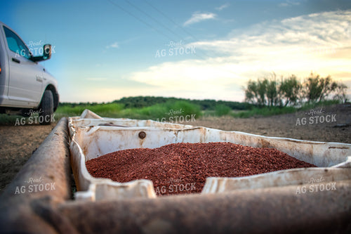 Cattle Feed 62007