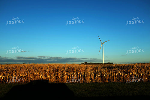 Wind Turbine in Dried Cornfield 154021