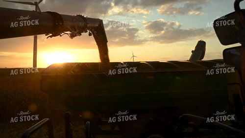 Combine Unloading Corn into an Auger Wagon at Sunset - 551