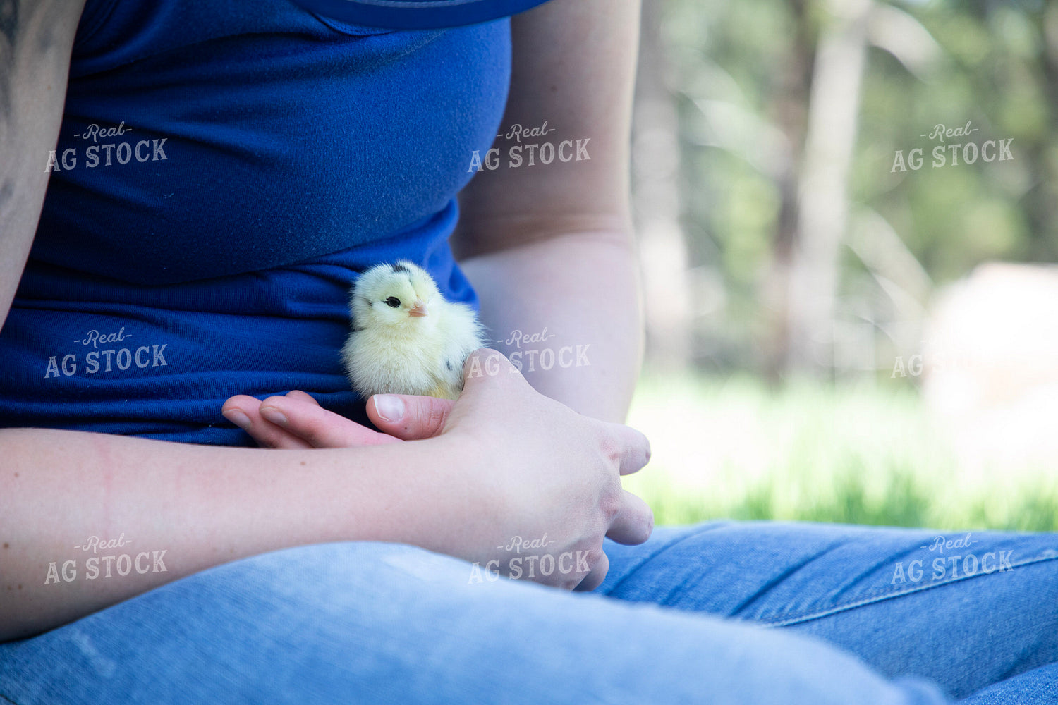 Farmer Holding Chick 117334