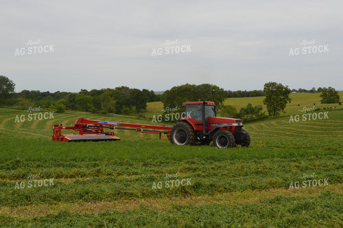 Mowing Hay 206036