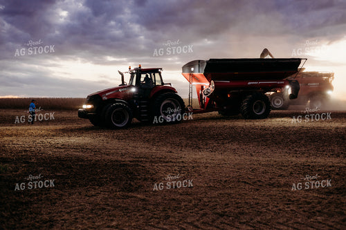 Unloading Harvested Soybeans 281112