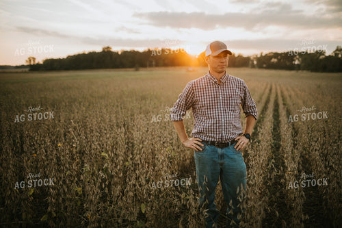 Farmer Standing in Dried Soybean Field at Sunset 4886