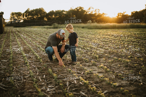 Farmer and Son in Field 6899
