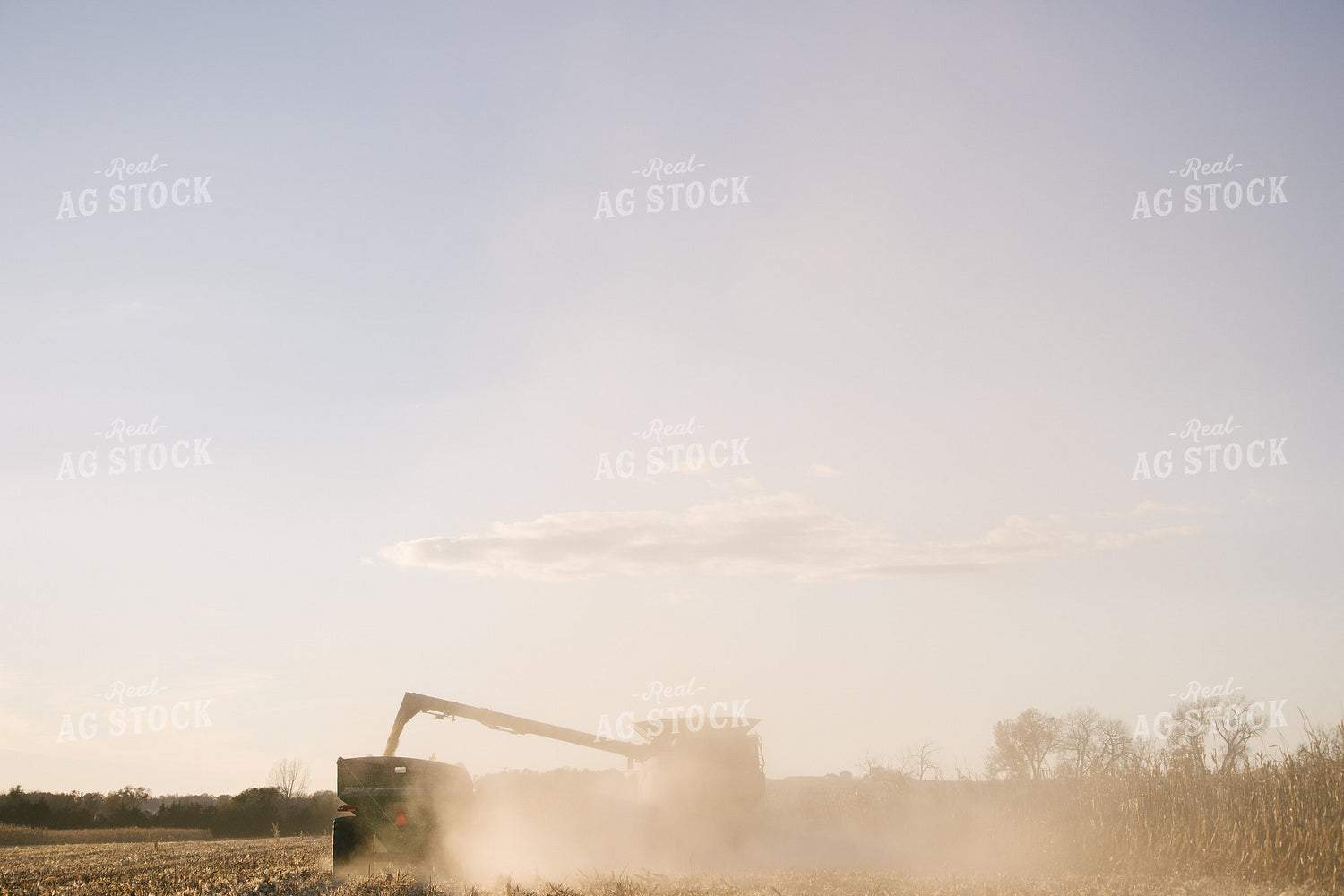 Nebraska Corn Harvest 70032