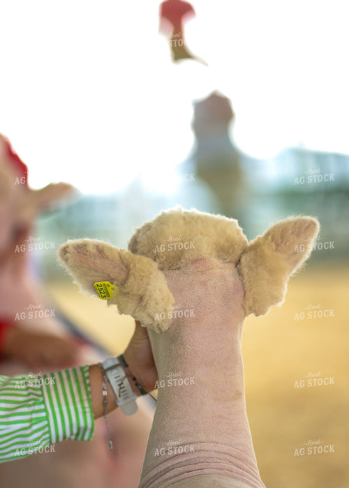 Showing Goats 160213