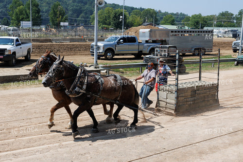 Horse Pulling 52905