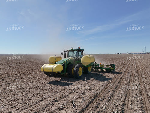 Planting 239169
