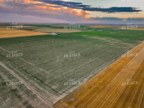 Aerial of Farmland 199004