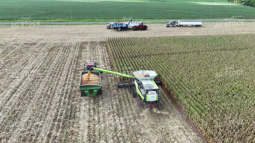 Aerial of Corn Harvest and Unloading Grain 149124