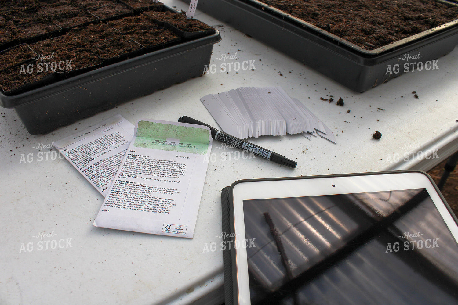 Planting Seeds in Greenhouse 240008