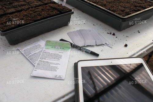 Planting Seeds in Greenhouse 240008