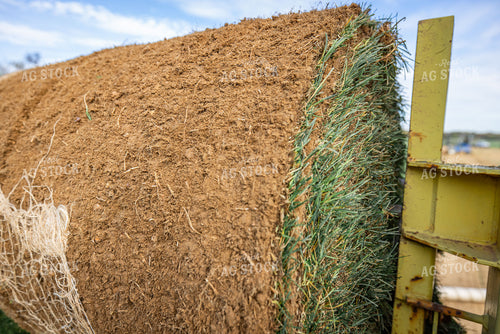 Harvesting Turf 270332
