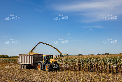 Silage Harvest 152290
