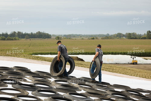 Storing Corn Silage 296012