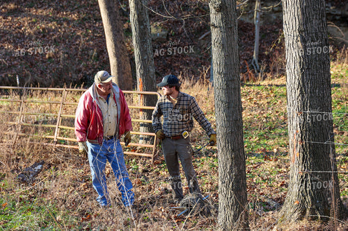 Farmers Putting up Fence for Cattle 52271