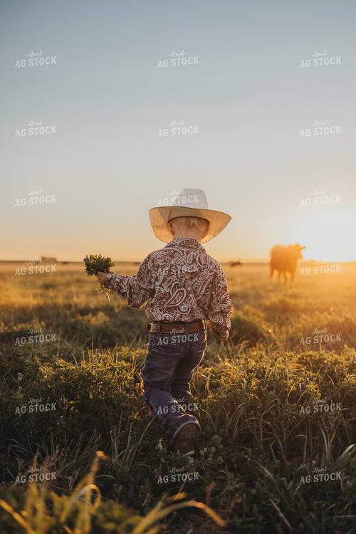 Farm Kid Walking in Cattle Pasture 61121