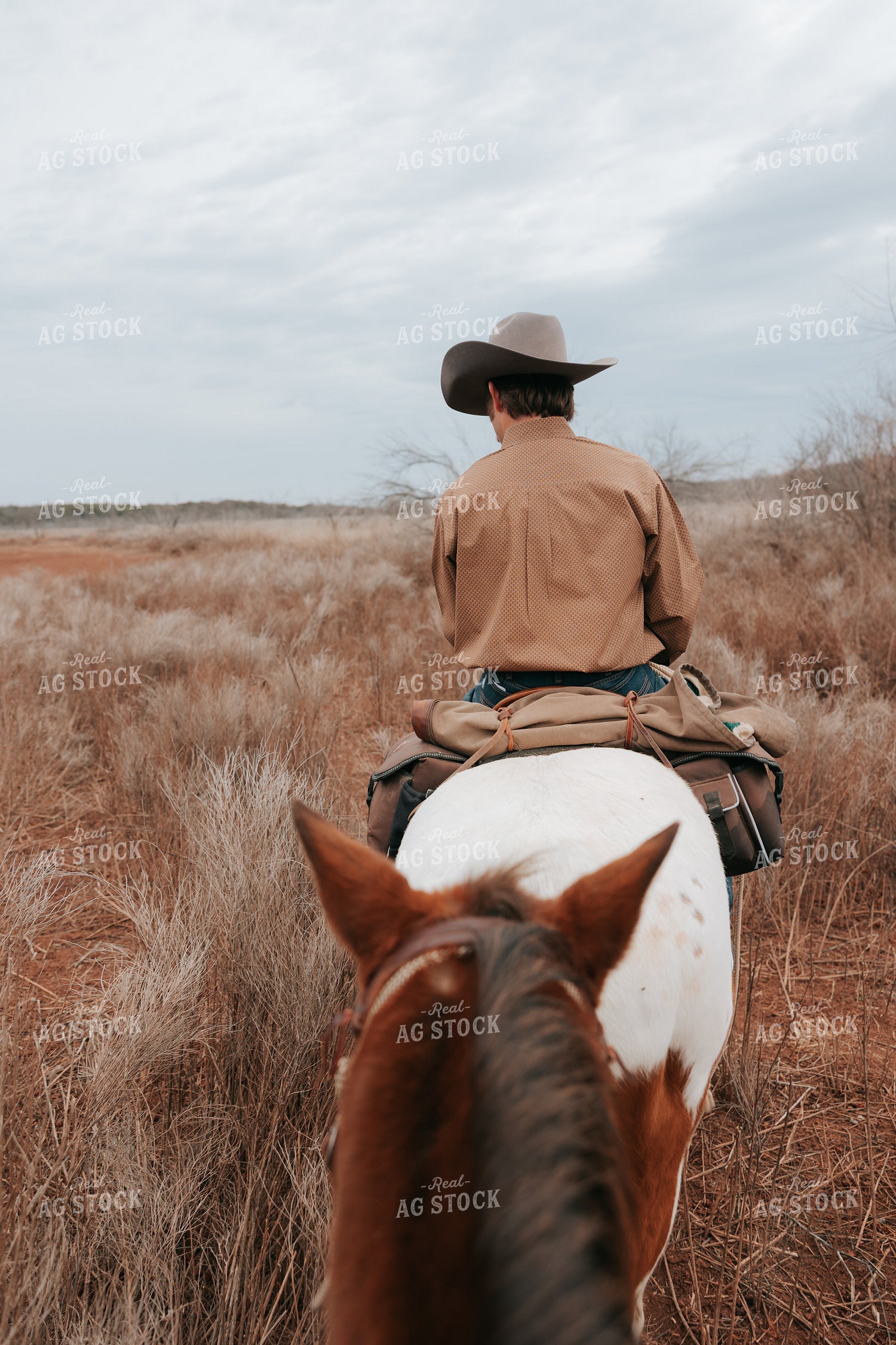 Cowboy on Horseback 205147