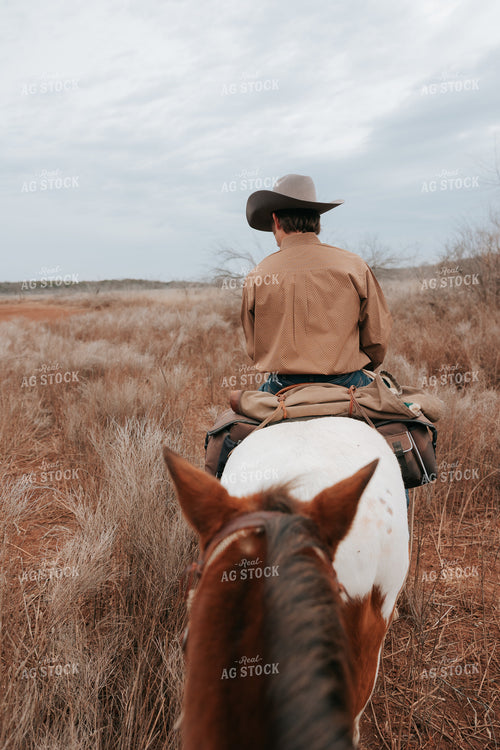 Cowboy on Horseback 205147