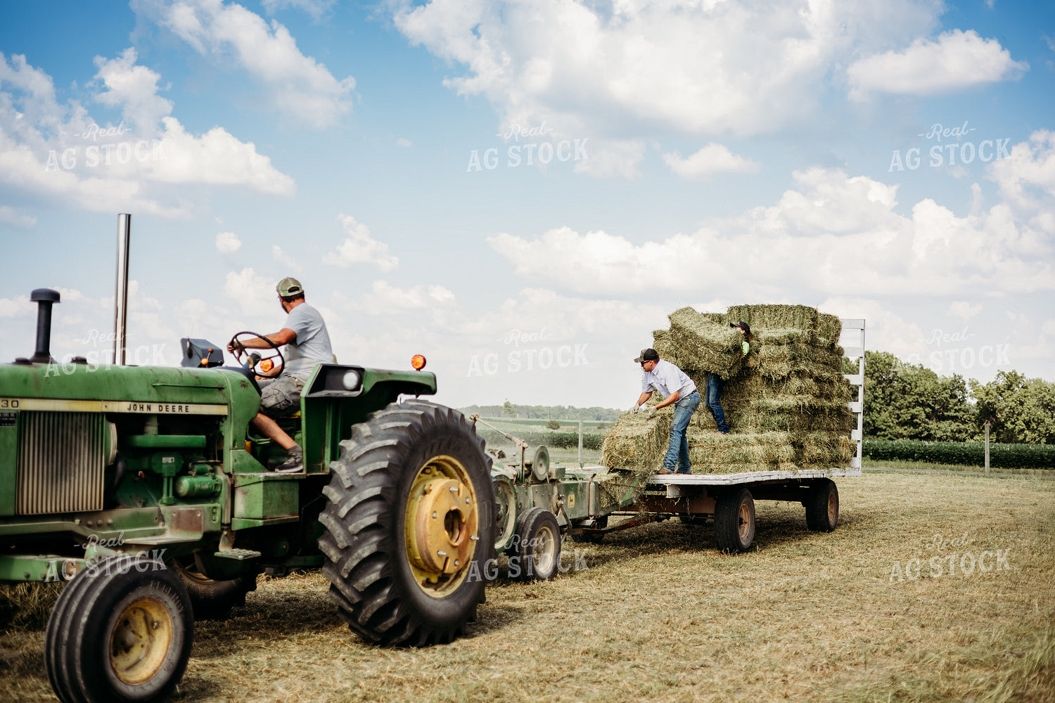 Baling Square Hay Bales 281037