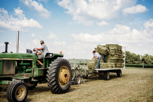 Baling Square Hay Bales 281037
